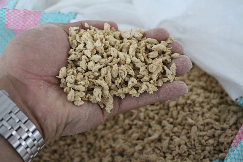 سویا پروتئینی عمده